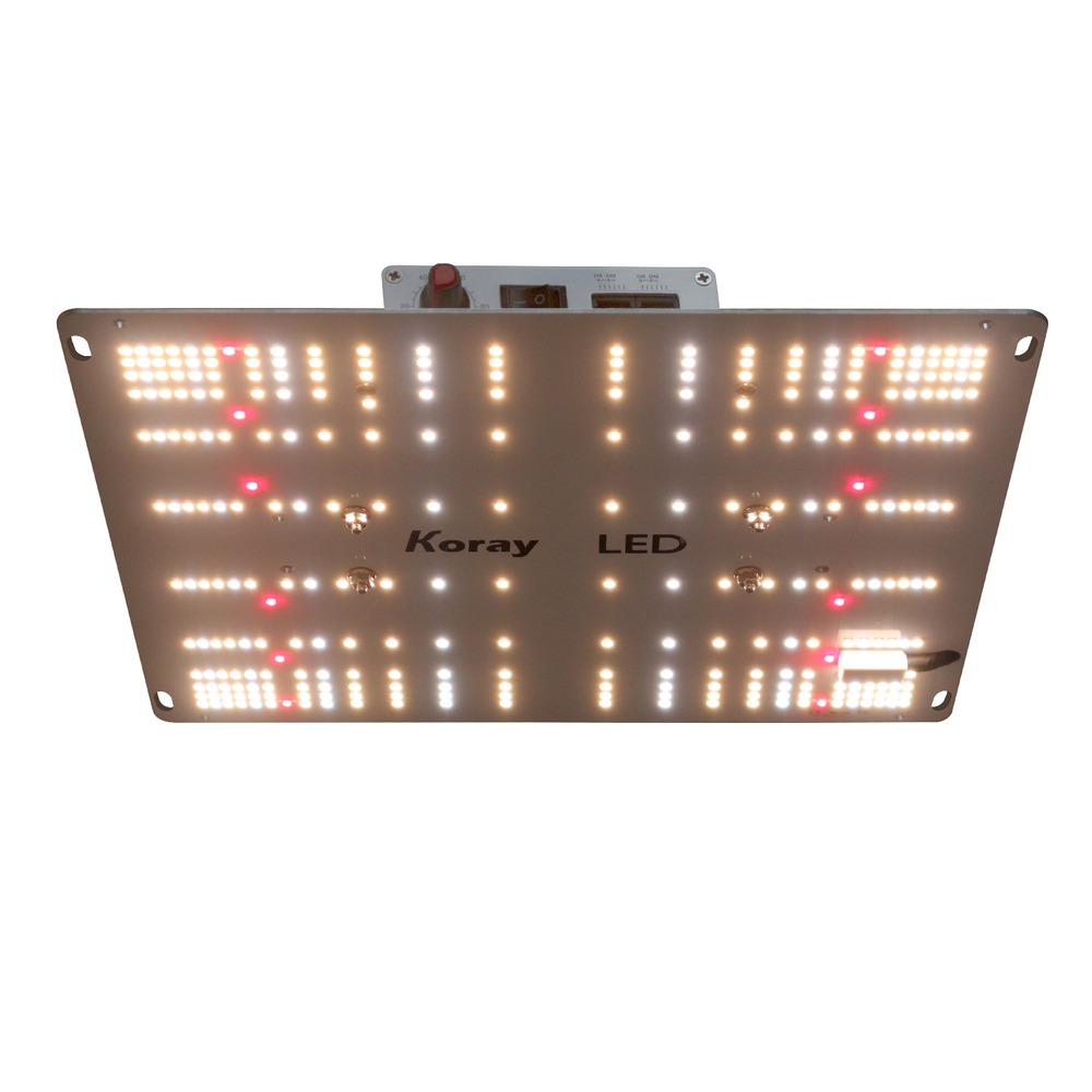 白色 LED 植物生长灯板灯具实物照片：板面整齐排布灯珠并带红色灯珠点缀，一侧边缘安装控制装置外壳，外壳上带旋钮式调光控制与电缆入口