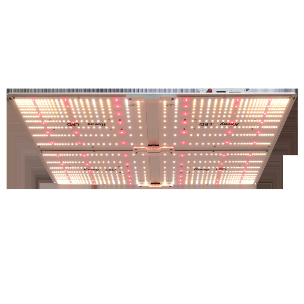 白底拍摄的四板式 LED 植物生长灯板，每块灯板上均匀分布白色灯珠与深红色灯珠