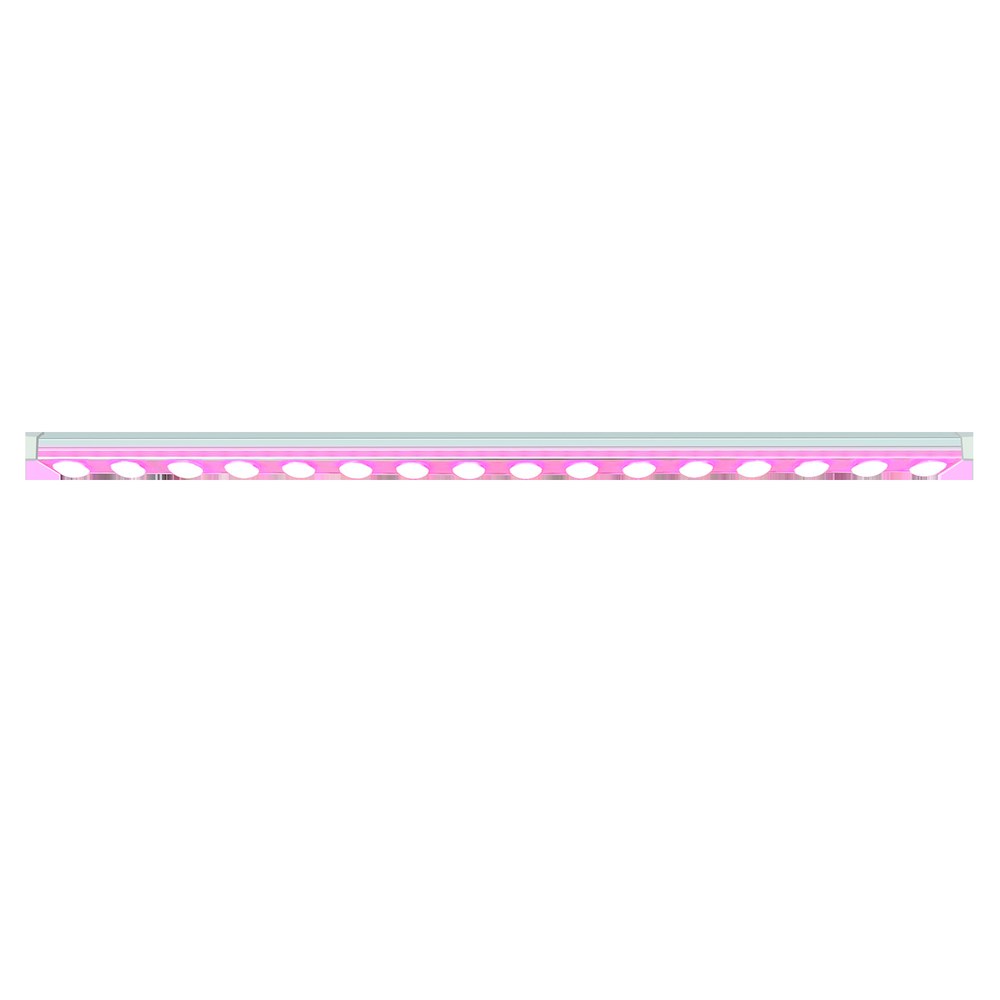 Linear LED grow light bar photographed straight on against a white background, showing a row of individual LED emitters along an aluminium extrusion