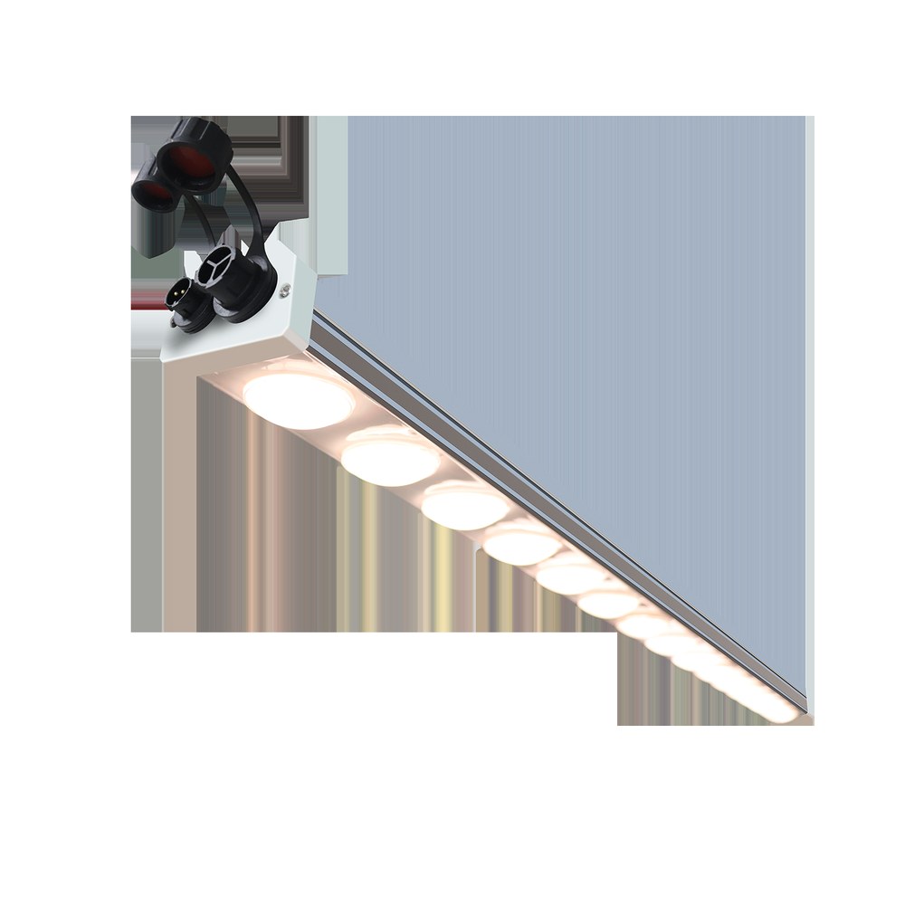 XineLam GH50 线性 LED 植物灯条安装在栽培台上方，向下照亮种植面