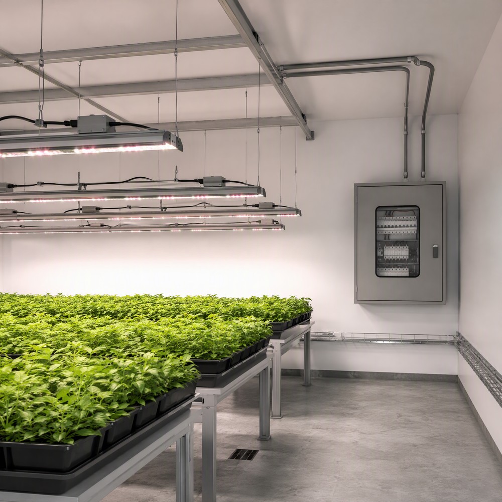 Illustration of linear LED grow light bars suspended above plant trays, connected by ceiling conduit to a grey electrical control cabinet with breakers and a contactor